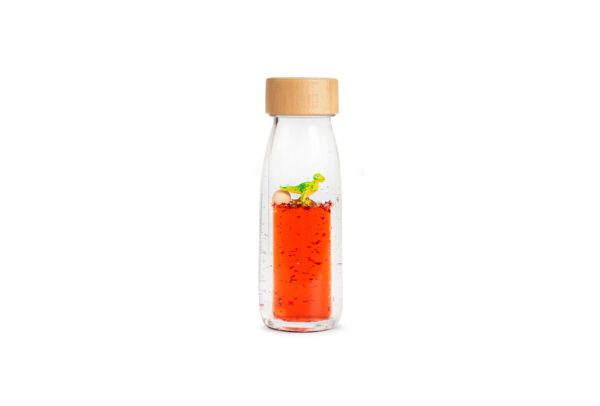 Bouteille Sensorielle - Move T-Rex