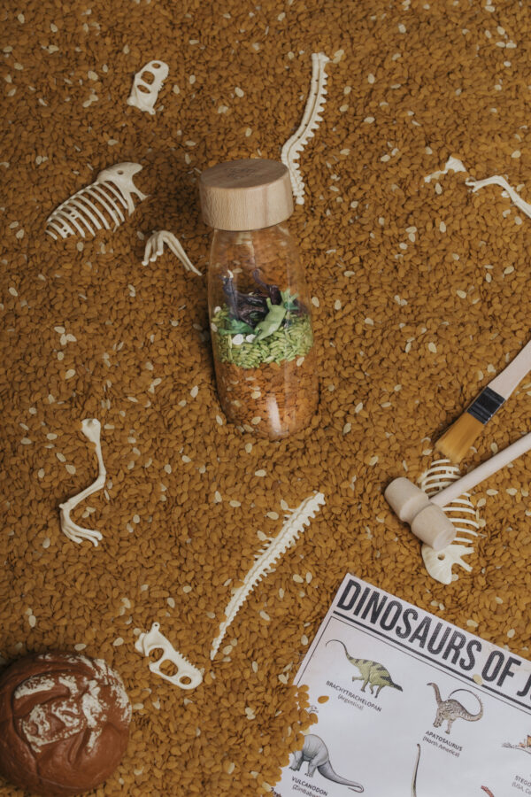 Bouteille Sensorielle - Jurassic – Image 4