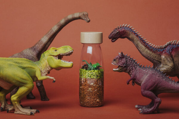 Bouteille Sensorielle - Jurassic – Image 3