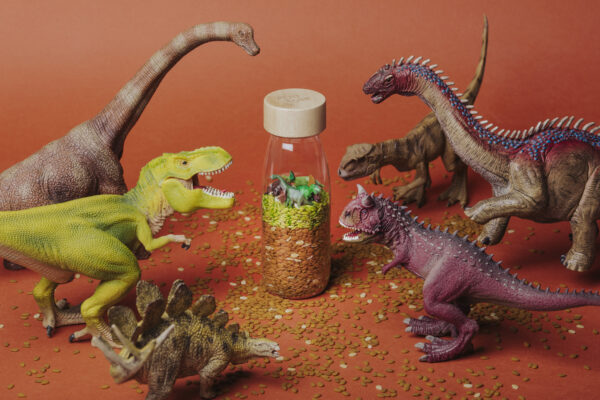 Bouteille Sensorielle - Jurassic – Image 2