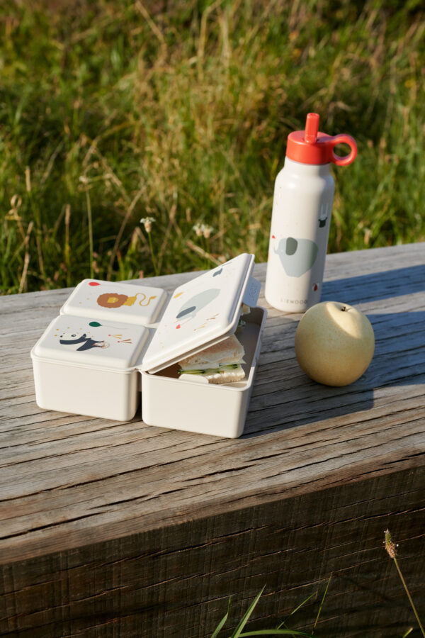 Lunch Box Driss - Circus – Image 3