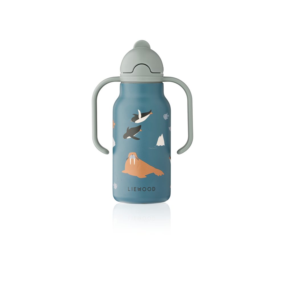 Gourde Kimmie - Arctic Sea / Ocean view 250ml